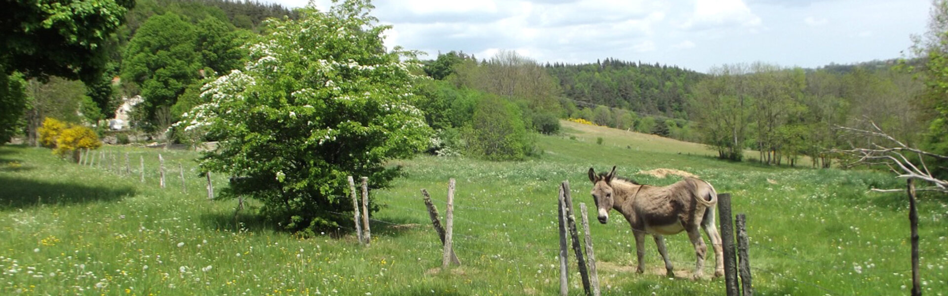 Les maires de CHOMELIX