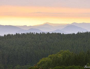 PANORAMAS SUR LE MÉZENC